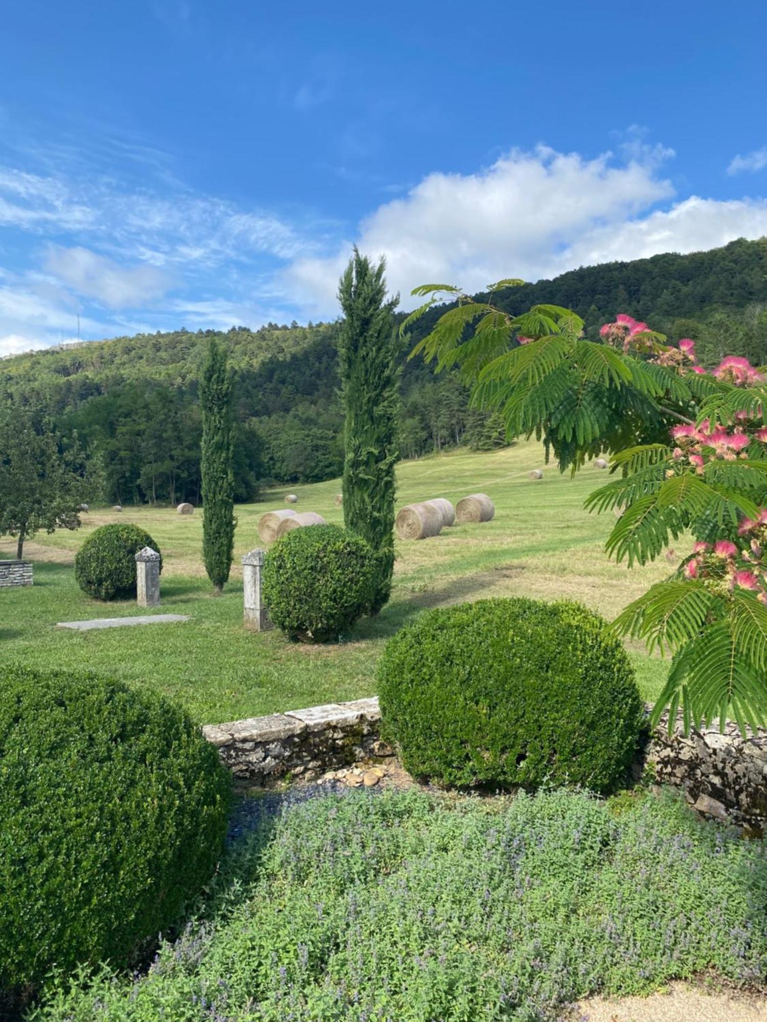 Clos De Mont July, Architecture Xviiie Au Coeur De La Nature Ceyzeriat Екстериор снимка